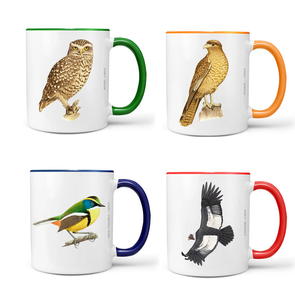Set de 4 tazones Pájaros de Chile n3