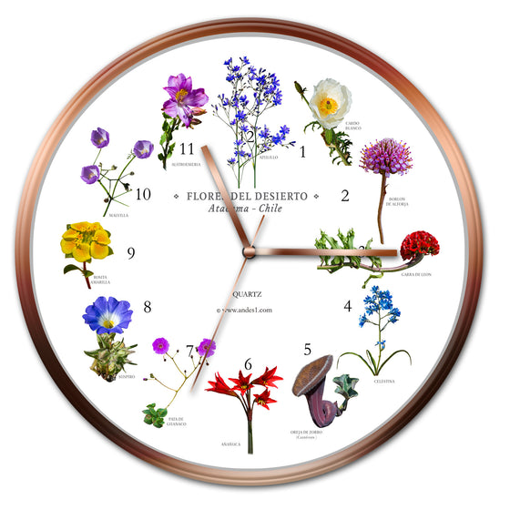Reloj Flores del desierto
