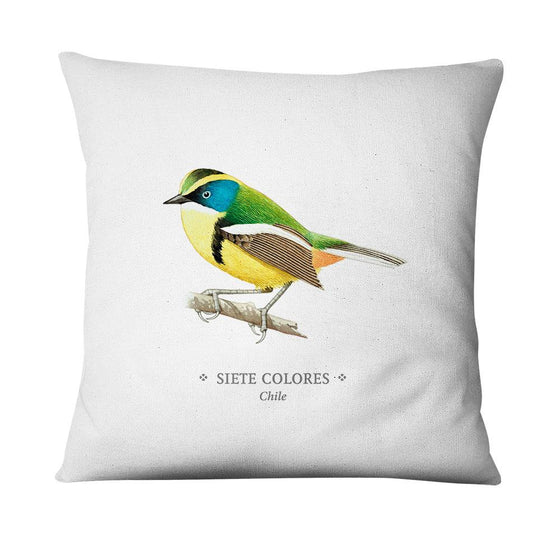 Funda de cojín Siete Colores