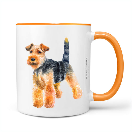 Tazón Welsh Terrier
